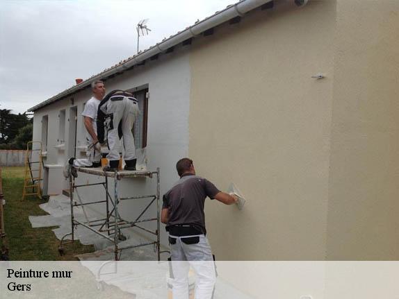 Peinture mur Gers 