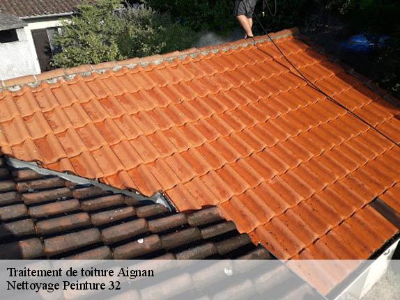 Traitement de toiture  aignan-32290 Nettoyage Peinture 32