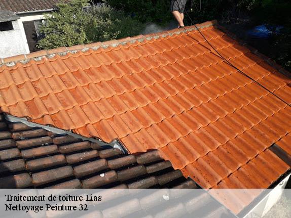 Traitement de toiture  lias-32600 Nettoyage Peinture 32