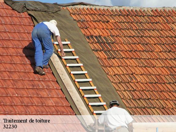Traitement de toiture  32230