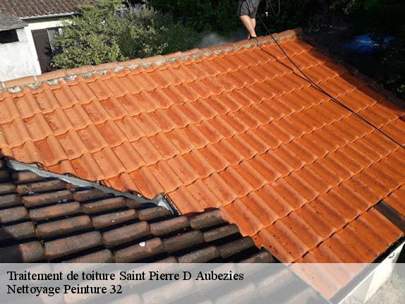 Traitement de toiture  saint-pierre-d-aubezies-32290 Nettoyage Peinture 32