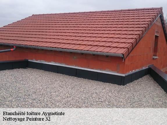 Etanchéité toiture  ayguetinte-32410 Nettoyage Peinture 32