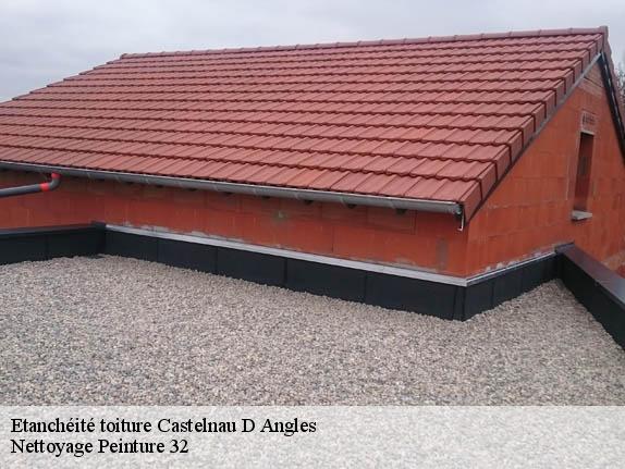 Etanchéité toiture  castelnau-d-angles-32320 Nettoyage Peinture 32