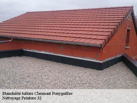 Etanchéité toiture  clermont-pouyguilles-32300 Nettoyage Peinture 32