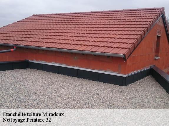 Etanchéité toiture  miradoux-32340 Nettoyage Peinture 32