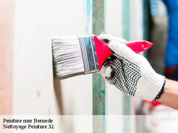 Peinture mur  bernede-32400 Nettoyage Peinture 32