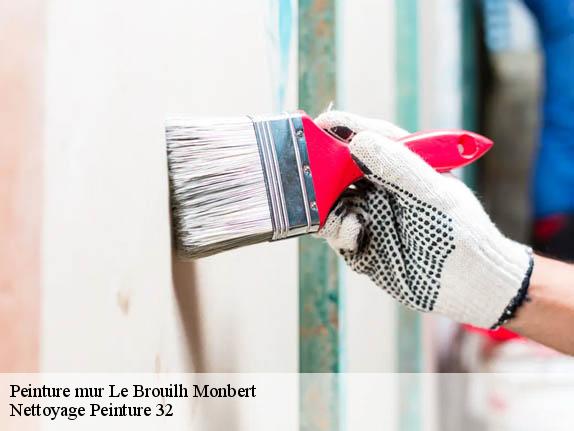 Peinture mur  le-brouilh-monbert-32350 Nettoyage Peinture 32