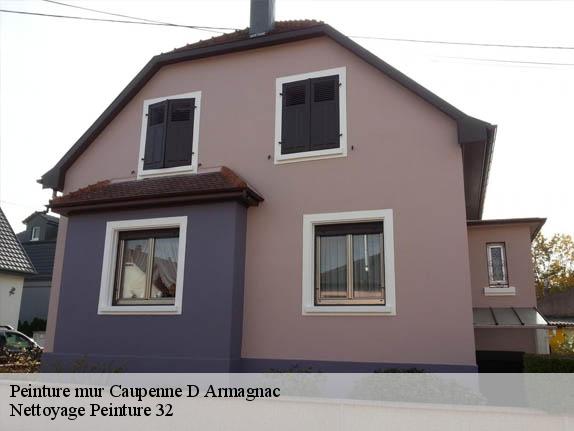 Peinture mur  32110