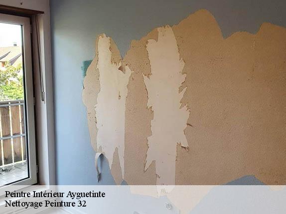 Peintre Intérieur  ayguetinte-32410 Nettoyage Peinture 32