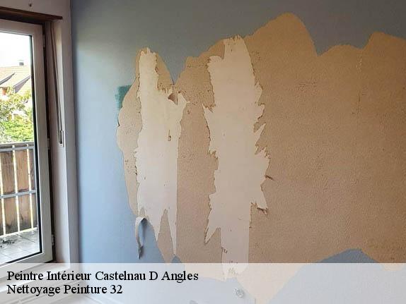 Peintre Intérieur  castelnau-d-angles-32320 Nettoyage Peinture 32