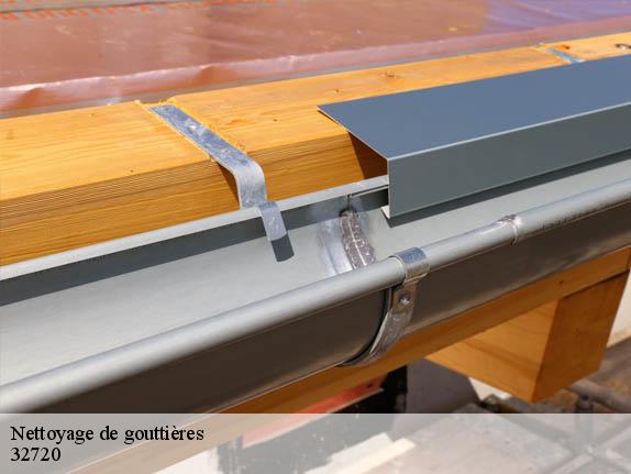 Nettoyage de gouttières  32720