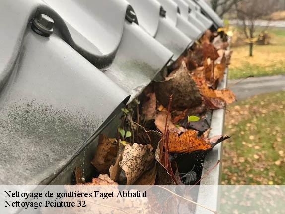 Nettoyage de gouttières  faget-abbatial-32450 Nettoyage Peinture 32