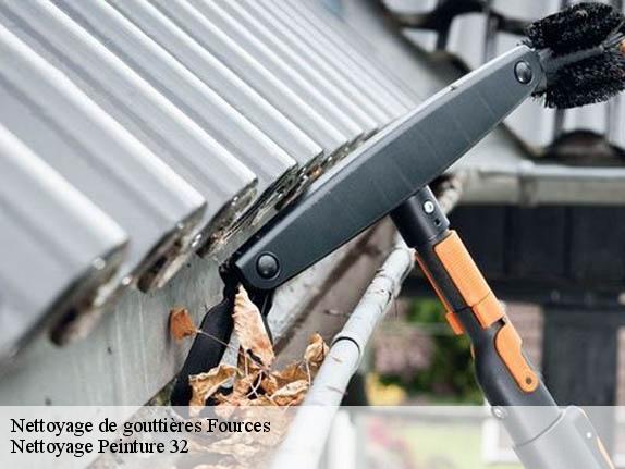 Nettoyage de gouttières  32250