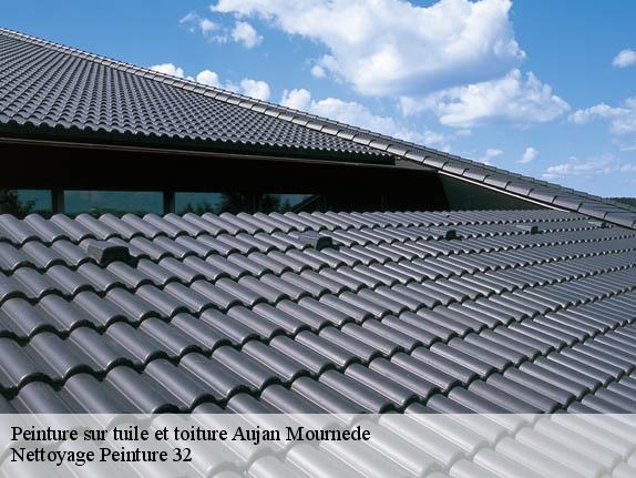 Peinture sur tuile et toiture  32300