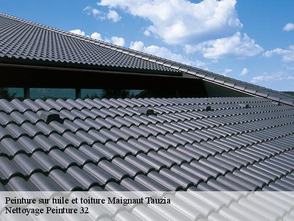 Peinture sur tuile et toiture  32310