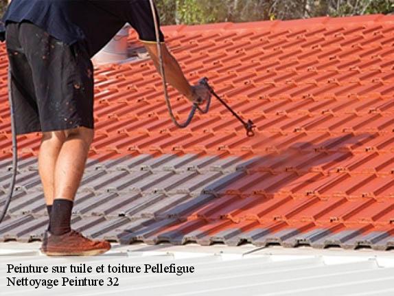 Peinture sur tuile et toiture  pellefigue-32420 Nettoyage Peinture 32