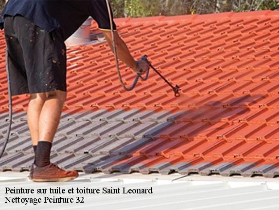 Peinture sur tuile et toiture  saint-leonard-32380 Nettoyage Peinture 32