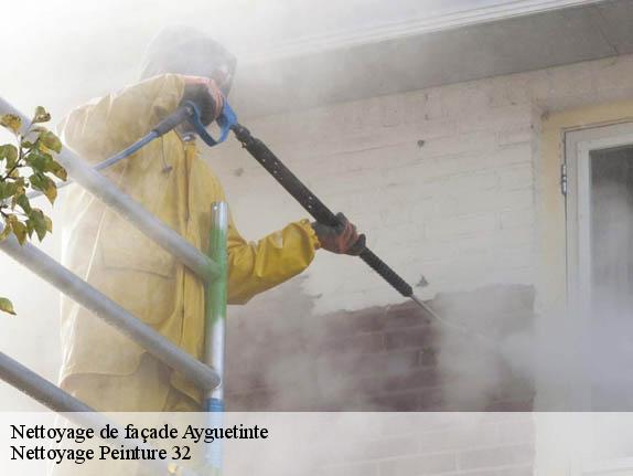 Nettoyage de façade  ayguetinte-32410 Nettoyage Peinture 32