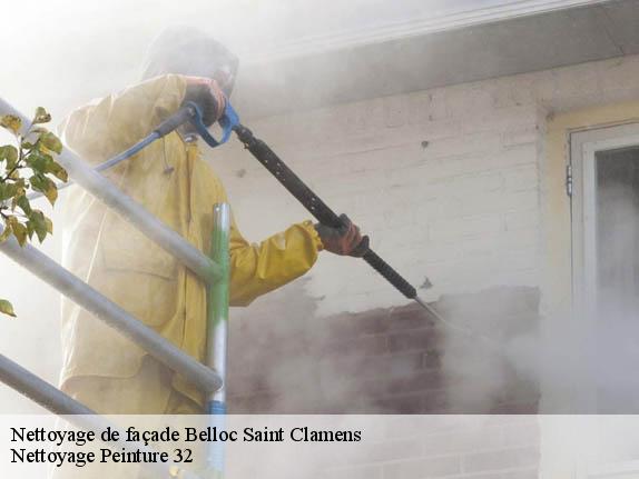 Nettoyage de façade  belloc-saint-clamens-32300 Nettoyage Peinture 32