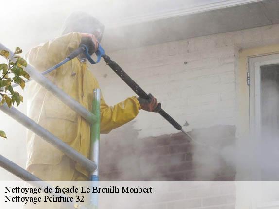 Nettoyage de façade  le-brouilh-monbert-32350 Nettoyage Peinture 32
