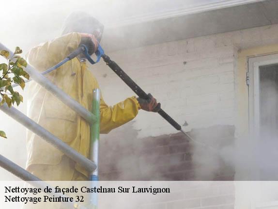 Nettoyage de façade  castelnau-sur-lauvignon-32100 Nettoyage Peinture 32