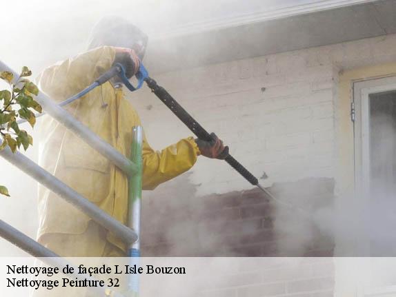 Nettoyage de façade  l-isle-bouzon-32380 Nettoyage Peinture 32