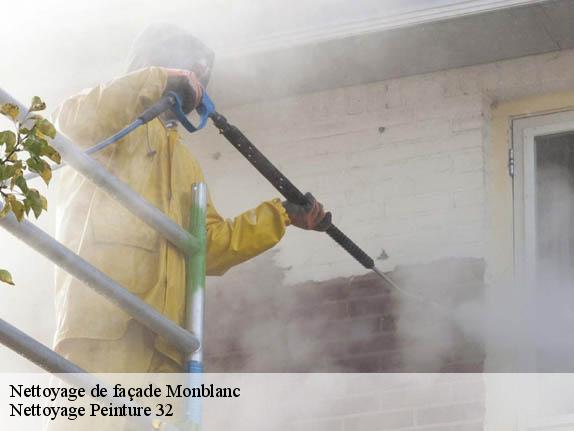 Nettoyage de façade  monblanc-32130 Nettoyage Peinture 32