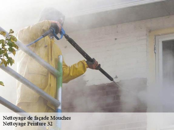 Nettoyage de façade  mouches-32300 Nettoyage Peinture 32