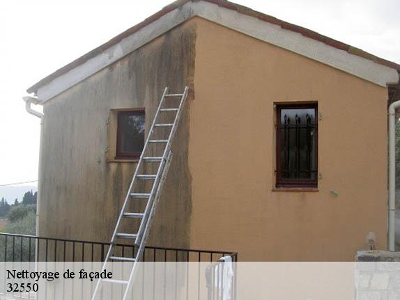 Nettoyage de façade  32550