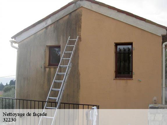 Nettoyage de façade  32230