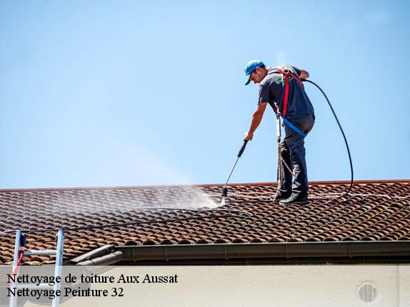 Nettoyage de toiture  aux-aussat-32170 Nettoyage Peinture 32