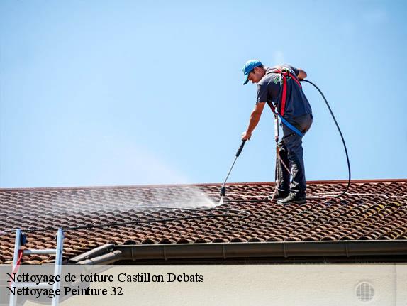 Nettoyage de toiture  castillon-debats-32190 Nettoyage Peinture 32
