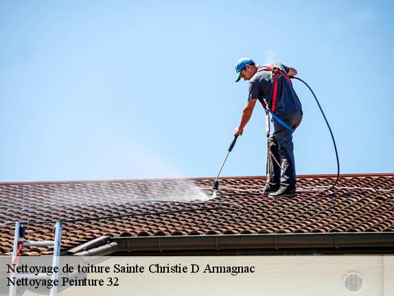 Nettoyage de toiture  sainte-christie-d-armagnac-32370 Nettoyage Peinture 32